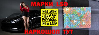амф Новокубанск