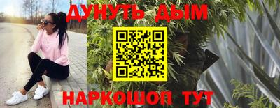амф Новокубанск