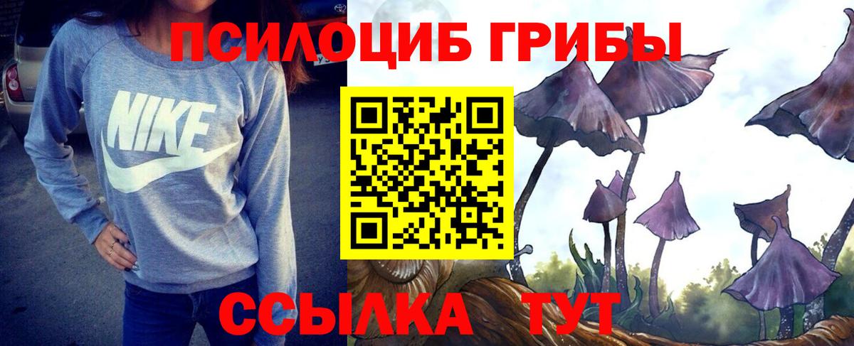 Саянск  Псилоцибиновые грибы Psilocybe  Вход с VPN 